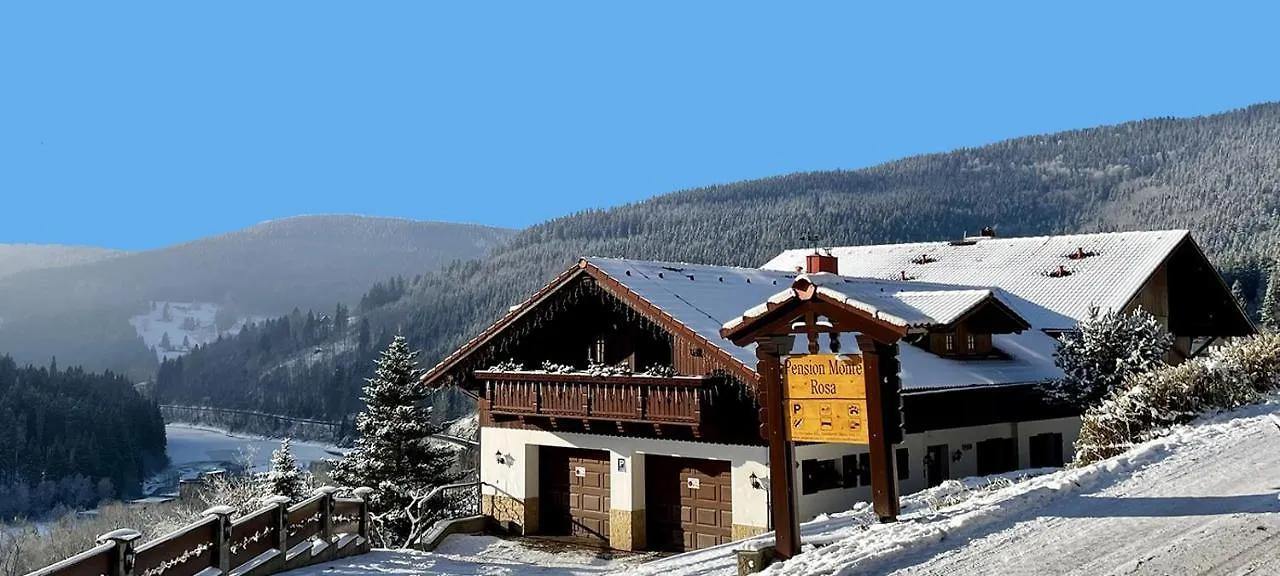 Pension Monte Rosa Spindleruv Mlyn