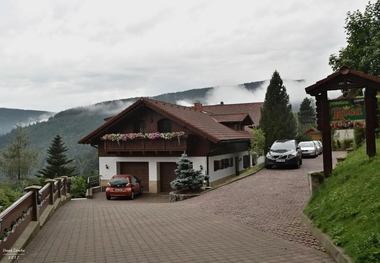 Pension Monte Rosa Spindleruv Mlyn 3*,  Czech Republic